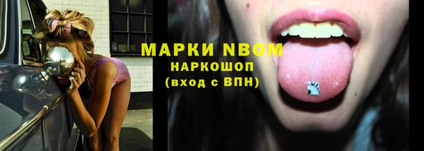 ГАЛЛЮЦИНОГЕННЫЕ ГРИБЫ Белокуриха