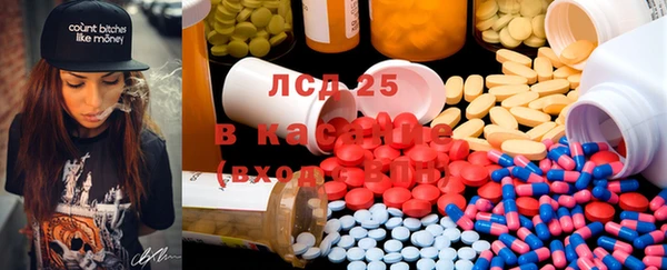 ГАЛЛЮЦИНОГЕННЫЕ ГРИБЫ Белокуриха
