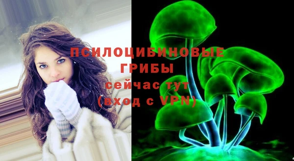 ГАЛЛЮЦИНОГЕННЫЕ ГРИБЫ Белокуриха
