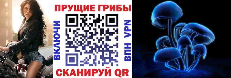 Галлюциногенные грибы Cubensis  Меленки 