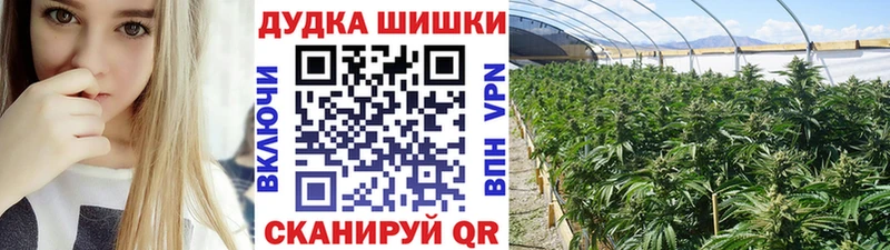 сколько стоит  Меленки  Марихуана White Widow 